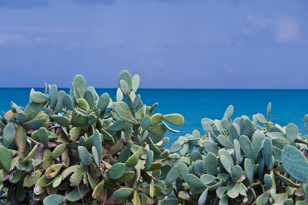 Apartamento La Terrazza Di Puglia Conversano Exterior foto